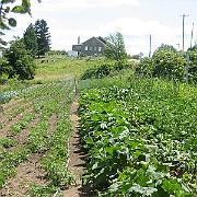 Picture 051